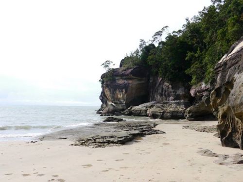 995672_10100215661711237_1310340613_n