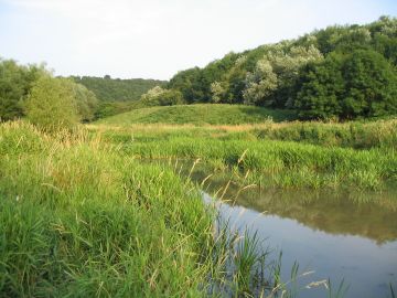 Eastwood Farm Nature Reserve