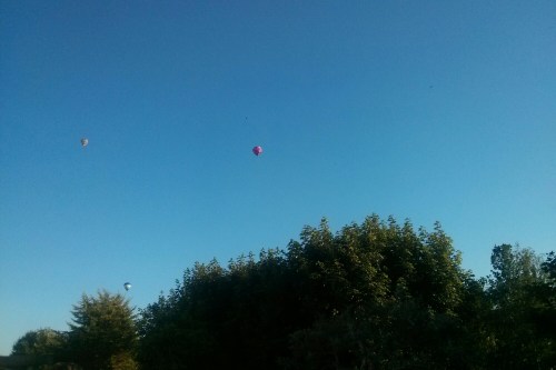 IMG_20140612_194414.jpg image