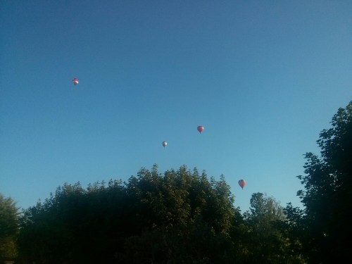 IMG_20140612_200026.jpg image